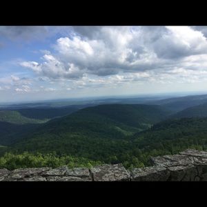 Meet your Posher, Shirley